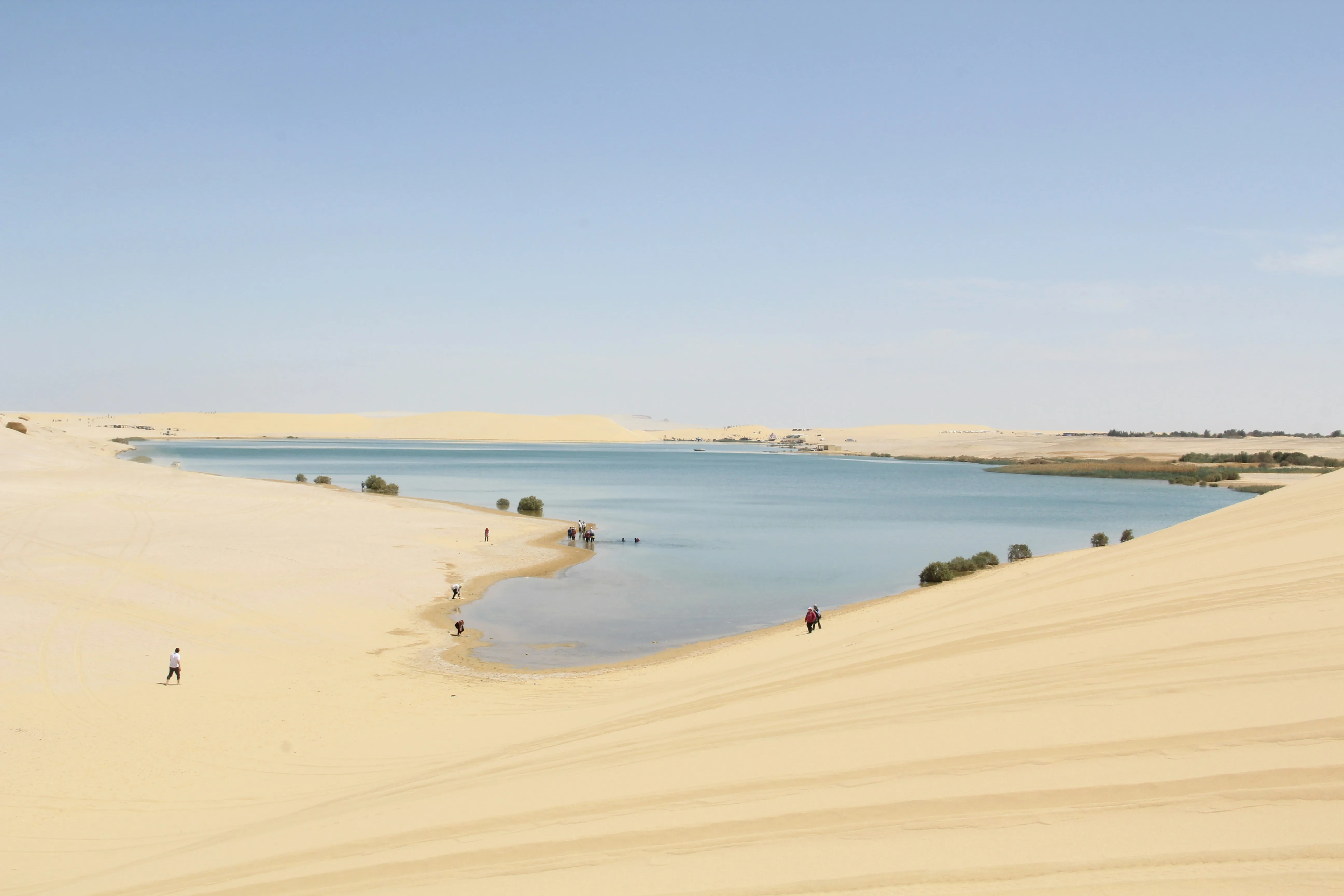 Fayoum Desert - Private Tours in Egypt