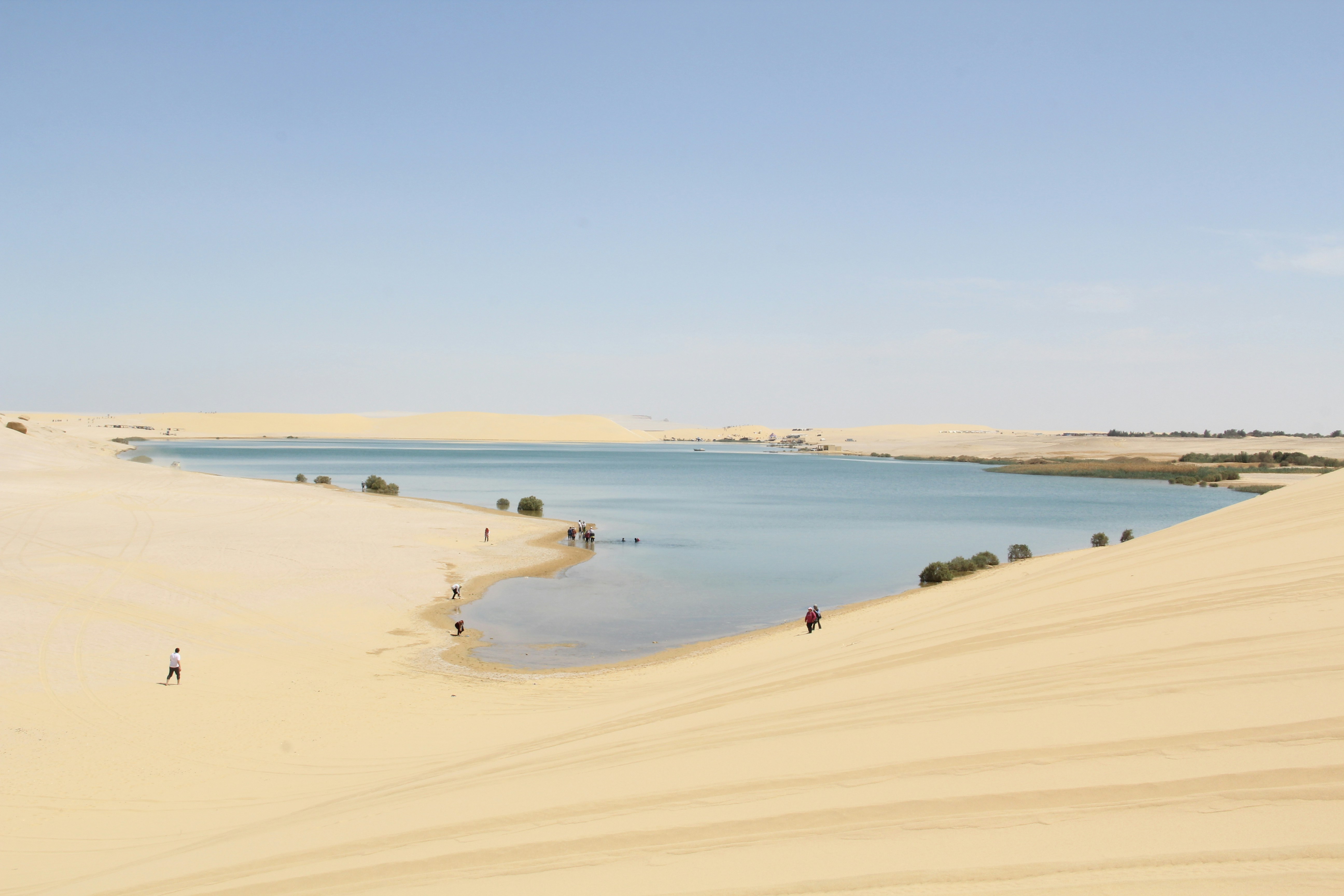 Fayoum Private Tours in Egypt